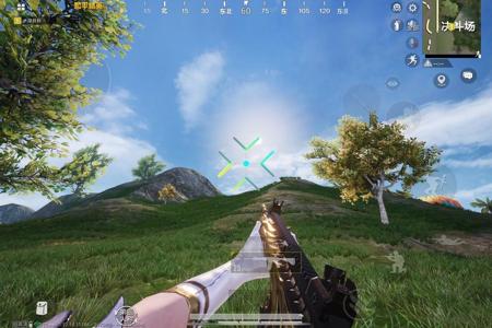 2025年和平精英辅助技术的发展趋势的配图，内容相关：不同辅助工具的功能差异较大，有的仅提供基础透视，而高端版本则包含自动压枪、物资追踪等。玩家应根据自身...